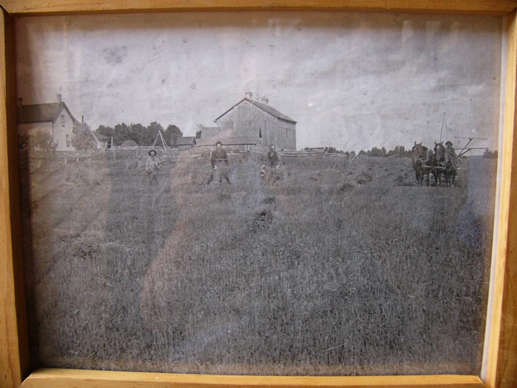 P1040630