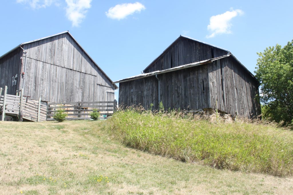 Lang Pig Barn, Mulmer aug 1 2011