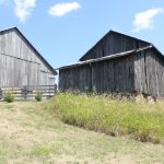 Lang Pig Barn, Mulmer aug 1 2011