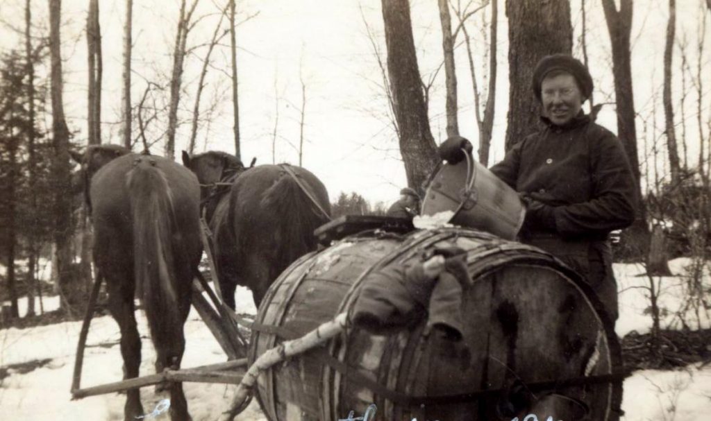 Gathering sap photo by Janet Cockerline Credit Hugh Fraser St. Catharines