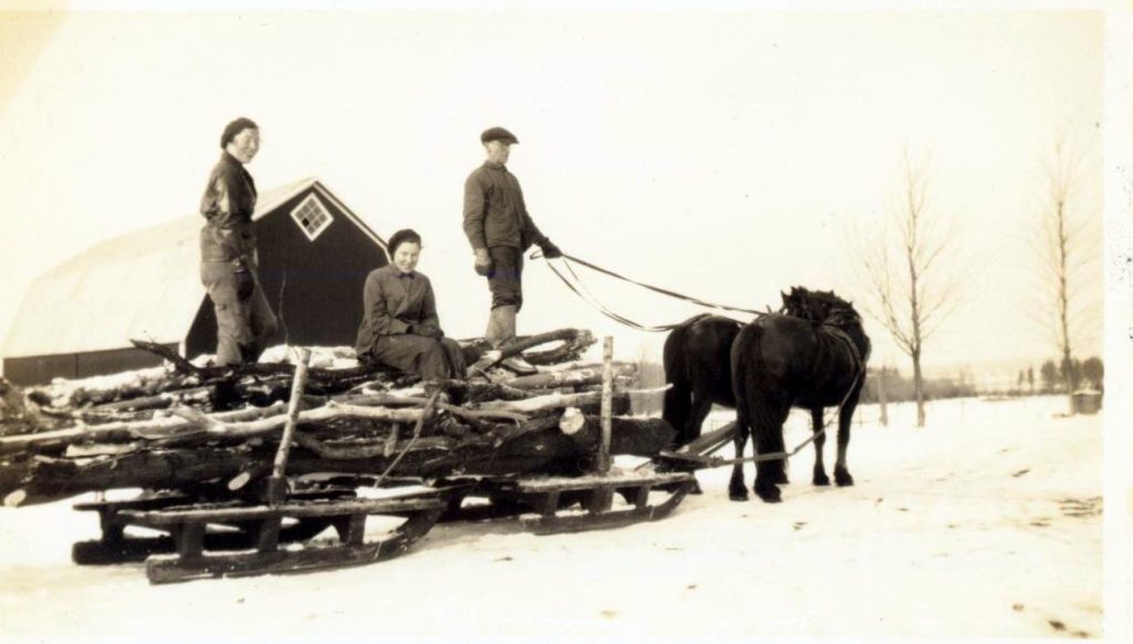 Hauling firewood from the farm bush (Photo by Janet Cockerline) Credit Hugh Fraser, St. Catharines