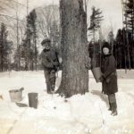 Tapping maple trees on the farm (photo by Janet Cockerline) Credit Hugh Fraser, St. Catharines