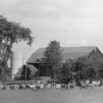 Bagg barn