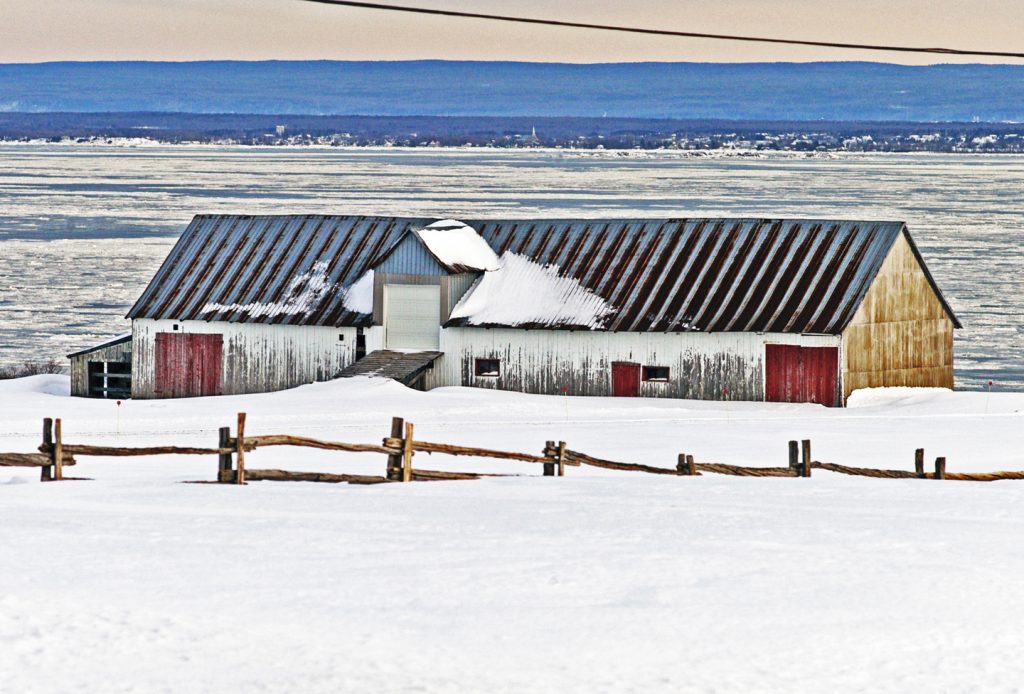 ALT. F Long barn of Mr. Claude Gosselin beside the St. Lawrence River at St Jean Ile dOrleans