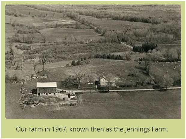 1967