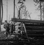 1923 Film Log Construction Snip