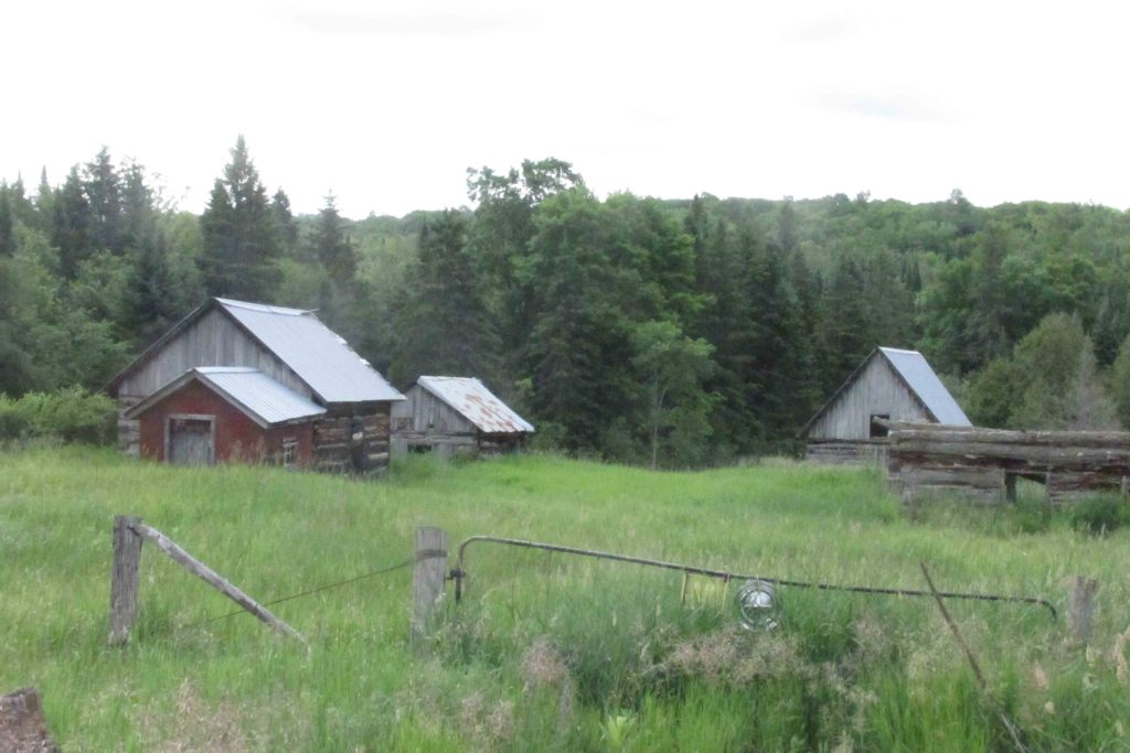 Log Barn 3