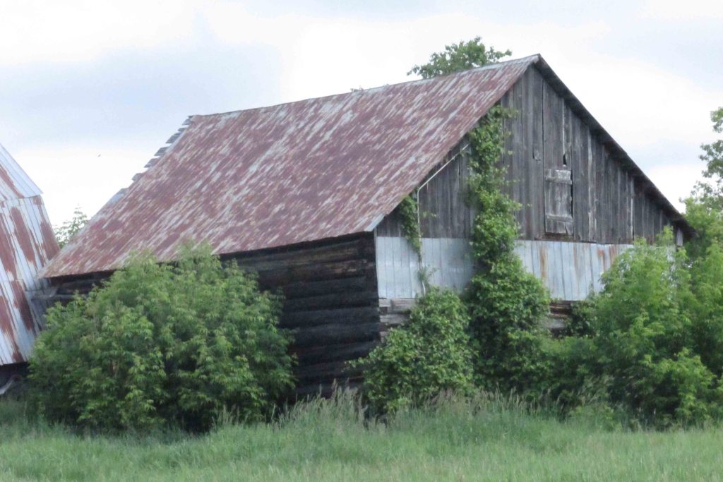 Log Barn 4
