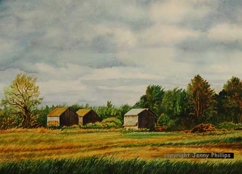 Jenny Phillips Tobacco Barns