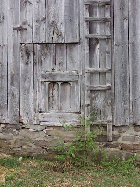 Chicken doors